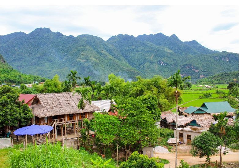 Dorf in vietnamesischem Kaffeeanbaugebiet